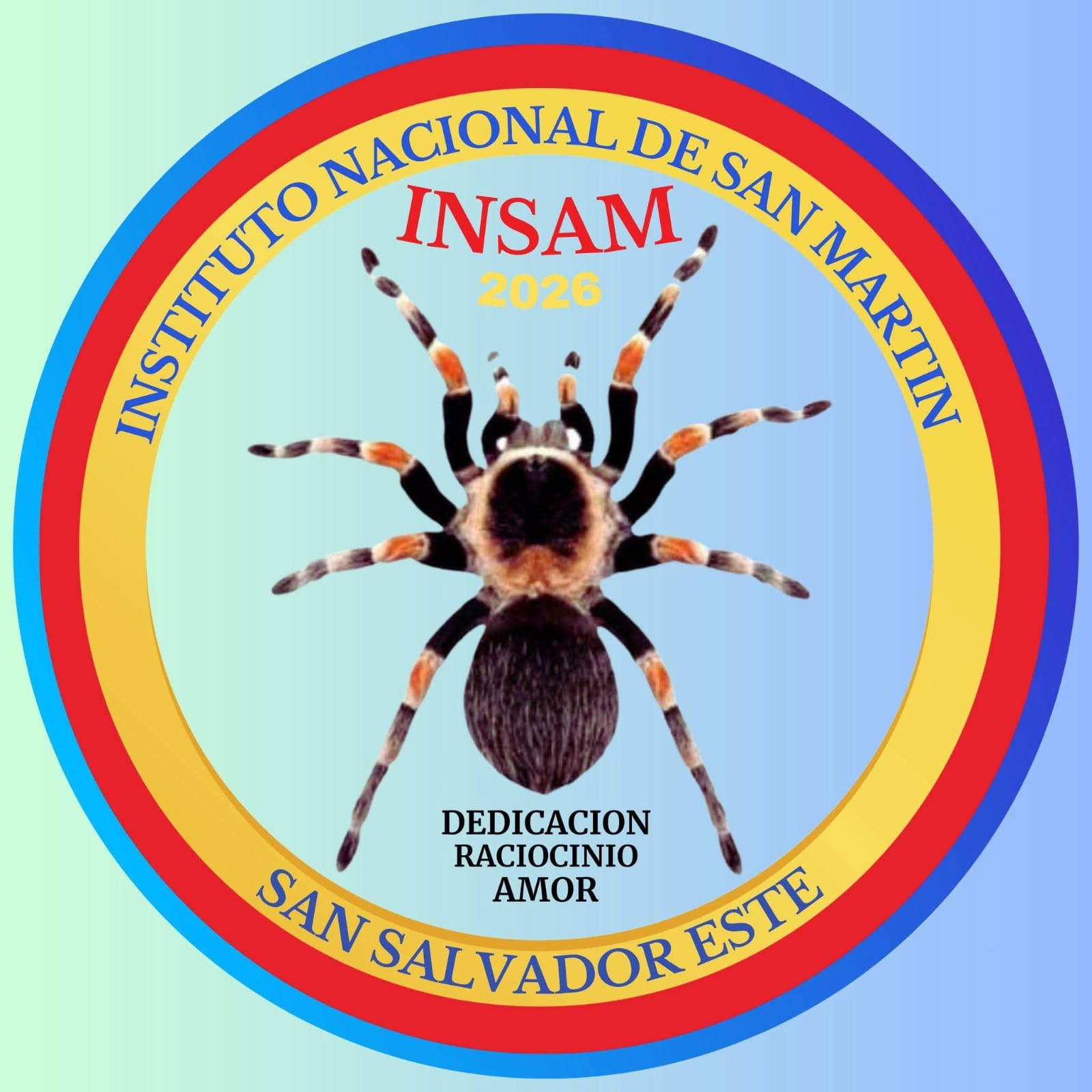 INSAM Logo